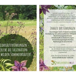 Flyer für Wildkräuterführungen