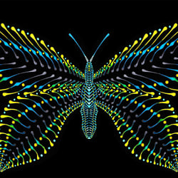 BUTTERFLY V1 / http://www.farbtunnel.de/dotting-art/