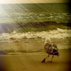 Strandspaziergang