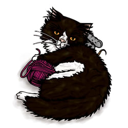 Katzen