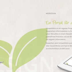 Portfolio-Bacherdesign2018-DS Seite 15
