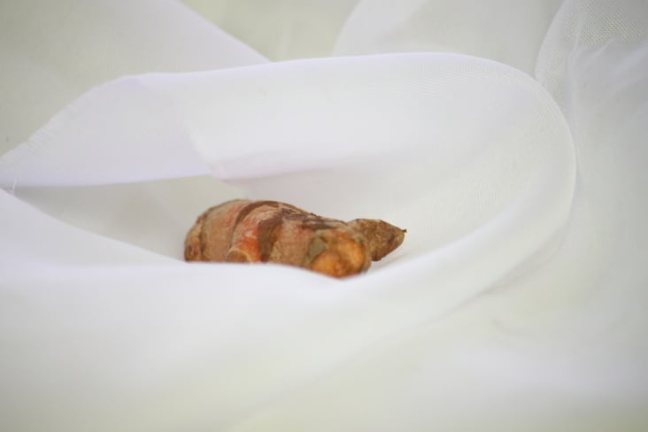Curcuma Food 2013