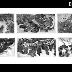 Storyboard
