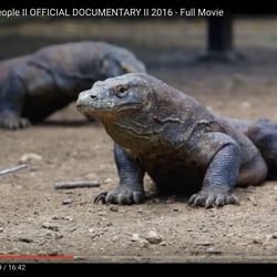 Komodo Waran