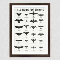 Field Guid for Birding