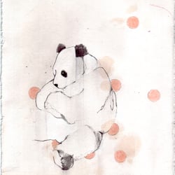 Panda (2006)