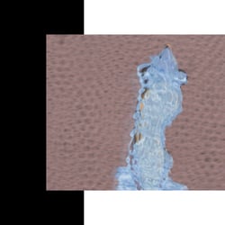 private Illustrationen Portfolio6