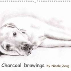 Charcoal Drawings 2014