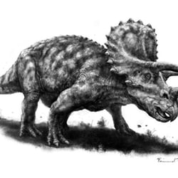 „Triceratops“