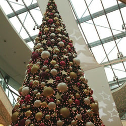 Cristmas 2013 Part 02