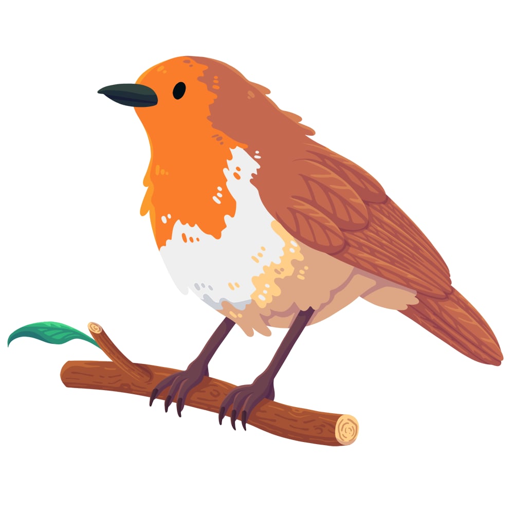 robin
