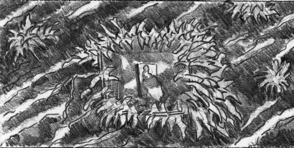 Storyboard