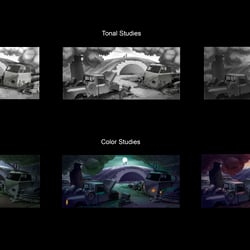 Tonal & Color Studies