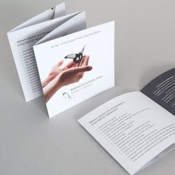 Sabine Gustson-Frey Flyer
