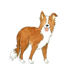 Hund
