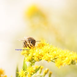 Nature 2014 Foto Übung