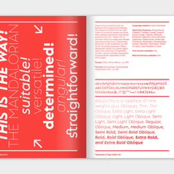 Slanted Publishers The Yearbook of Type 2022/23