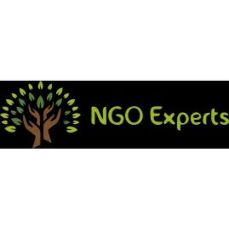 Ngo Experts