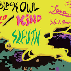 digital illustration poster for rock bands