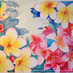 watercolor frangipani