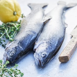 Marius Prions Photo FOOD / Fisch, roh, Forellen, Kräuter