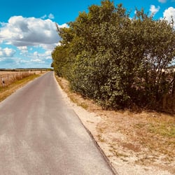 Uckermark / 2022