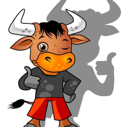 Toro