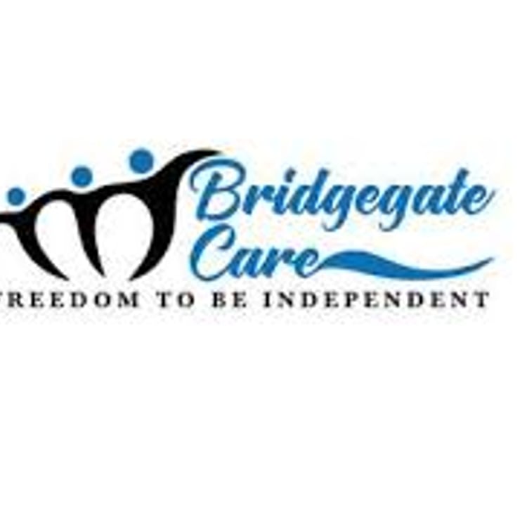 Bridge Gate Care Pvt Ltd