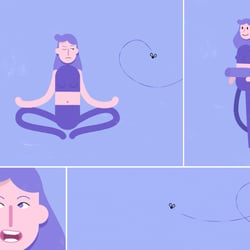 Übersicht über die 3 Animationen