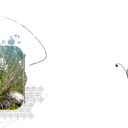 Illustration/Buch