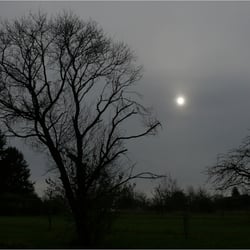 früh morgens im Nebel