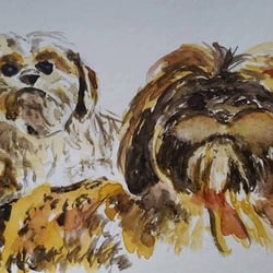 Geburtstagskarte mit Hunden