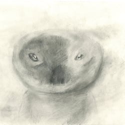 Sketches