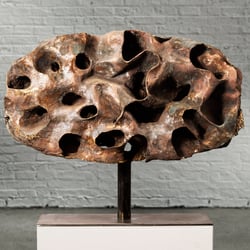 Objektkunst – Katalogfotografie