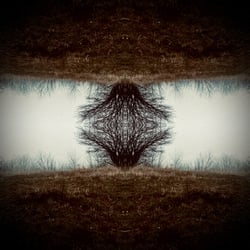 Spiegelbild