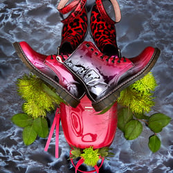 Shoe emblems