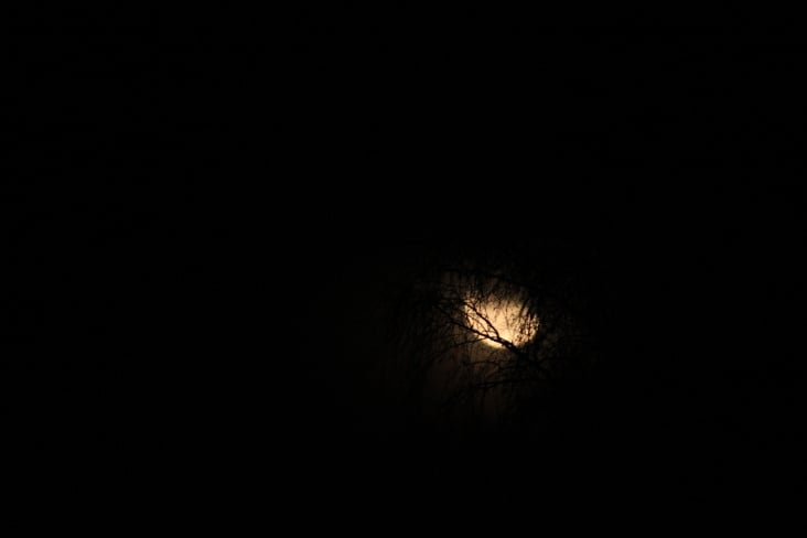 The Moon 2013 by Dina. T
