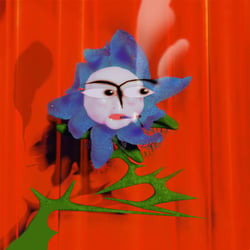 Blumenportrait