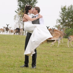 Neugierige Rehe