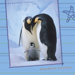 pinguine6a