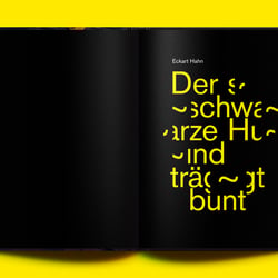 Buchgestaltung „Der schwarze Hund trägt bunt“