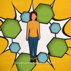 Endocannabinoid System Frontier Pharmaceutical That Works Media 10