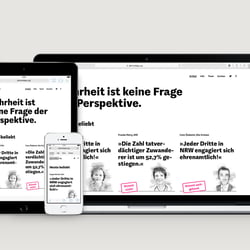 stimmtdas.org (Branding, Screen Design)