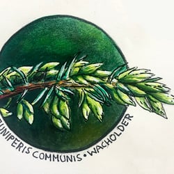 Gouacheskizze mit Fineliner