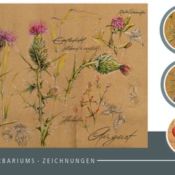 2. HERBARIUM
