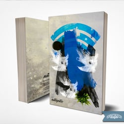 Coverdesign – Netzspitze