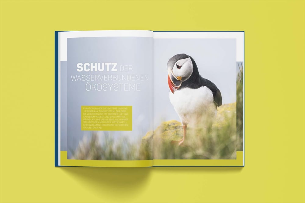 Editorial Design