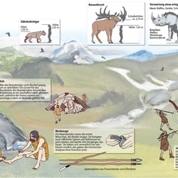 Das Leben der Neandertaler