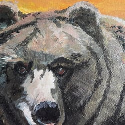 Braunbär