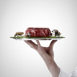 Hunger?